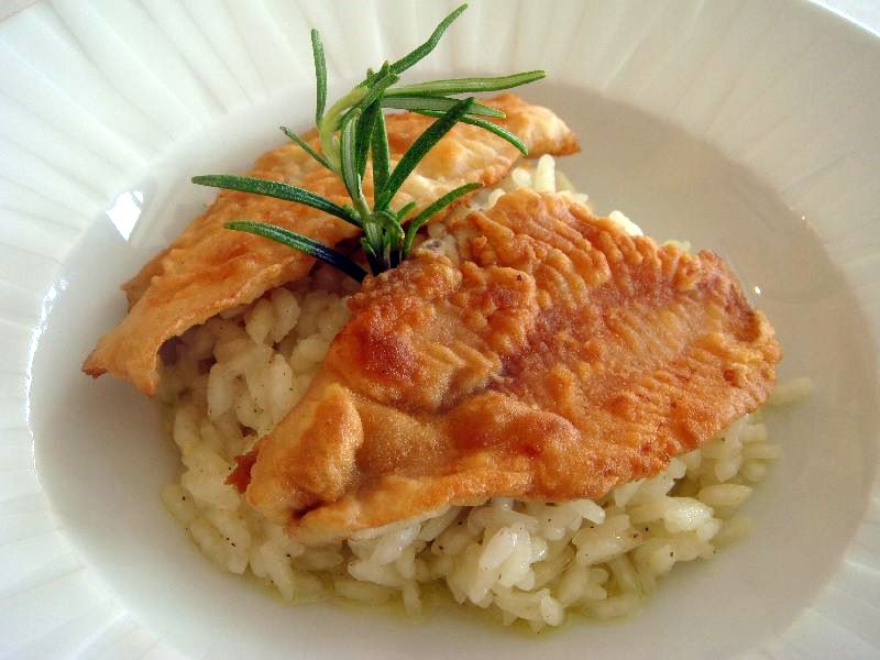 risotto